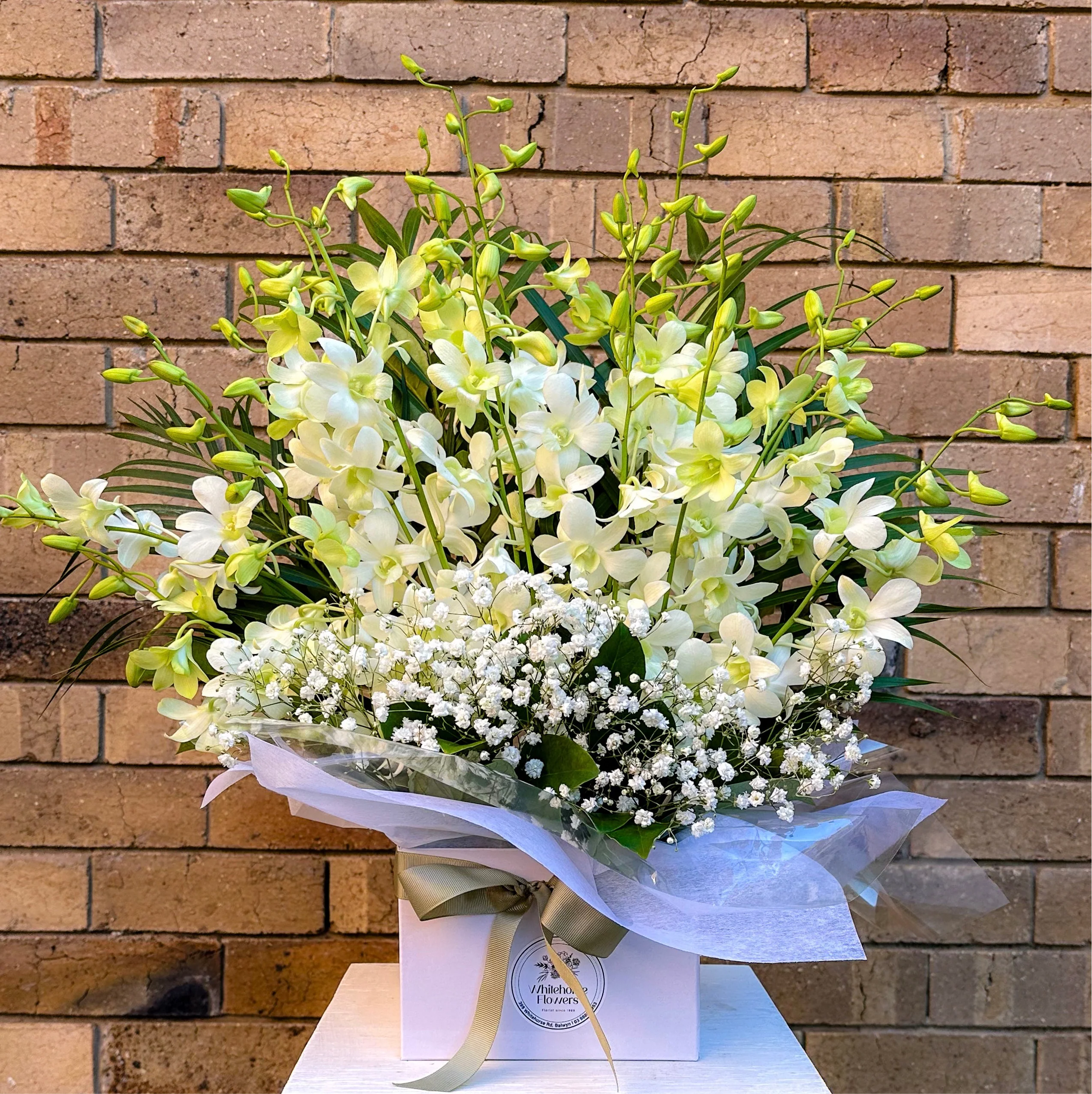 Christmas Flowers & Gift Boxes